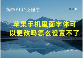 苹果手机里面字体可以更改吗怎么设置不了