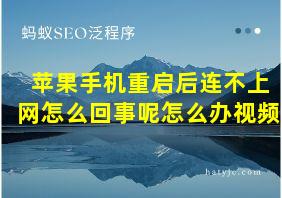 苹果手机重启后连不上网怎么回事呢怎么办视频