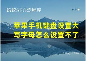 苹果手机键盘设置大写字母怎么设置不了