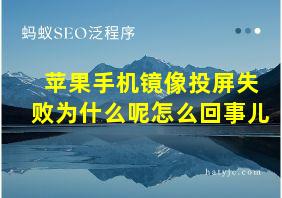 苹果手机镜像投屏失败为什么呢怎么回事儿