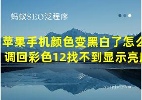 苹果手机颜色变黑白了怎么调回彩色12找不到显示亮度