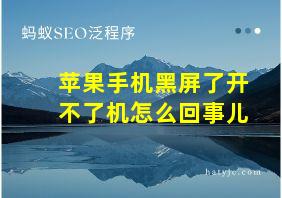 苹果手机黑屏了开不了机怎么回事儿