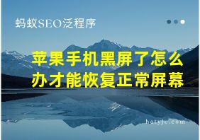 苹果手机黑屏了怎么办才能恢复正常屏幕