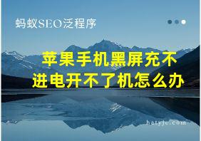 苹果手机黑屏充不进电开不了机怎么办