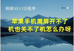 苹果手机黑屏开不了机也关不了机怎么办呀