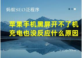 苹果手机黑屏开不了机充电也没反应什么原因