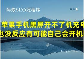 苹果手机黑屏开不了机充电也没反应有可能自己会开机吗