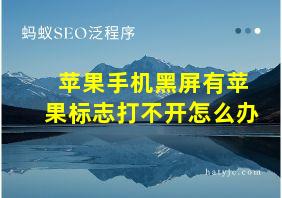 苹果手机黑屏有苹果标志打不开怎么办