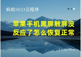 苹果手机黑屏触屏没反应了怎么恢复正常