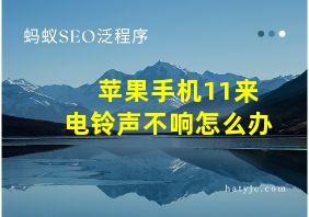 苹果手机11来电铃声不响怎么办