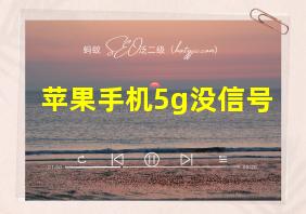 苹果手机5g没信号