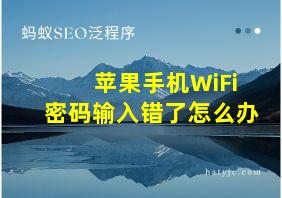 苹果手机WiFi密码输入错了怎么办