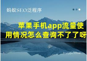 苹果手机app流量使用情况怎么查询不了了呀