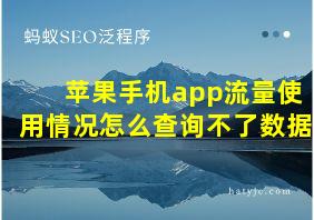 苹果手机app流量使用情况怎么查询不了数据