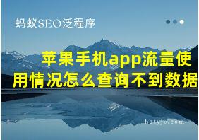 苹果手机app流量使用情况怎么查询不到数据