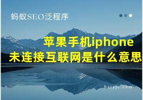 苹果手机iphone未连接互联网是什么意思