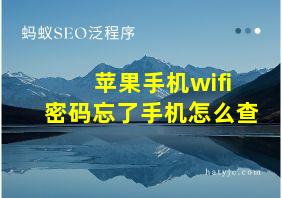 苹果手机wifi密码忘了手机怎么查