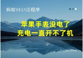 苹果手表没电了充电一直开不了机