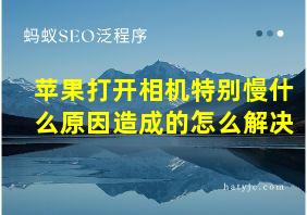 苹果打开相机特别慢什么原因造成的怎么解决