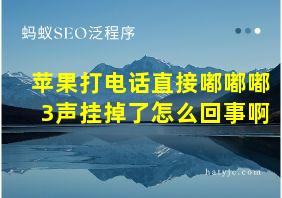 苹果打电话直接嘟嘟嘟3声挂掉了怎么回事啊