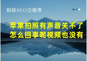 苹果拍照有声音关不了怎么回事呢视频也没有