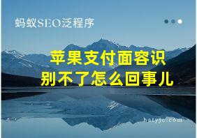 苹果支付面容识别不了怎么回事儿