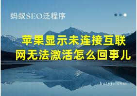 苹果显示未连接互联网无法激活怎么回事儿