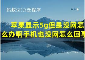 苹果显示5g但是没网怎么办啊手机也没网怎么回事