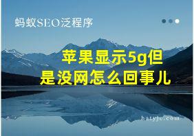 苹果显示5g但是没网怎么回事儿