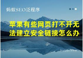 苹果有些网页打不开无法建立安全链接怎么办