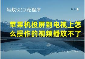 苹果机投屏到电视上怎么操作的视频播放不了