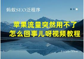 苹果流量突然用不了怎么回事儿呀视频教程