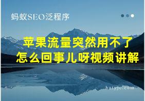 苹果流量突然用不了怎么回事儿呀视频讲解