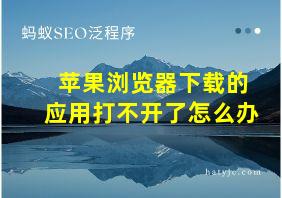 苹果浏览器下载的应用打不开了怎么办