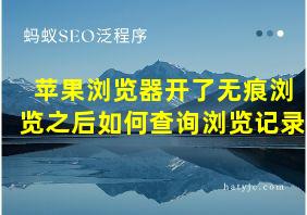 苹果浏览器开了无痕浏览之后如何查询浏览记录