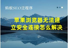 苹果浏览器无法建立安全连接怎么解决