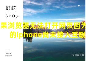 苹果浏览器无法打开网页因为您的iphone尚未接入互联网