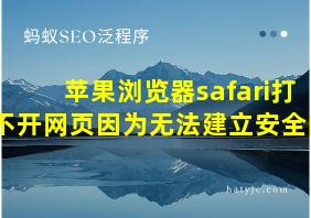 苹果浏览器safari打不开网页因为无法建立安全的