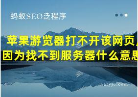 苹果游览器打不开该网页,因为找不到服务器什么意思