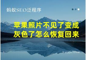 苹果照片不见了变成灰色了怎么恢复回来