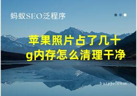 苹果照片占了几十g内存怎么清理干净