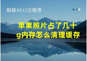 苹果照片占了几十g内存怎么清理缓存