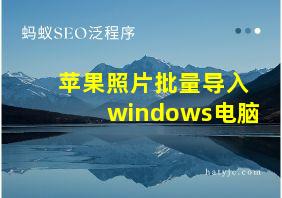 苹果照片批量导入windows电脑