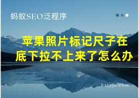 苹果照片标记尺子在底下拉不上来了怎么办