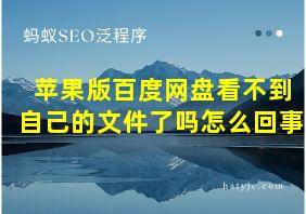 苹果版百度网盘看不到自己的文件了吗怎么回事