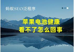 苹果电池健康看不了怎么回事