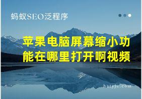 苹果电脑屏幕缩小功能在哪里打开啊视频