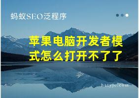 苹果电脑开发者模式怎么打开不了了