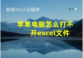 苹果电脑怎么打不开excel文件