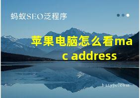 苹果电脑怎么看mac address